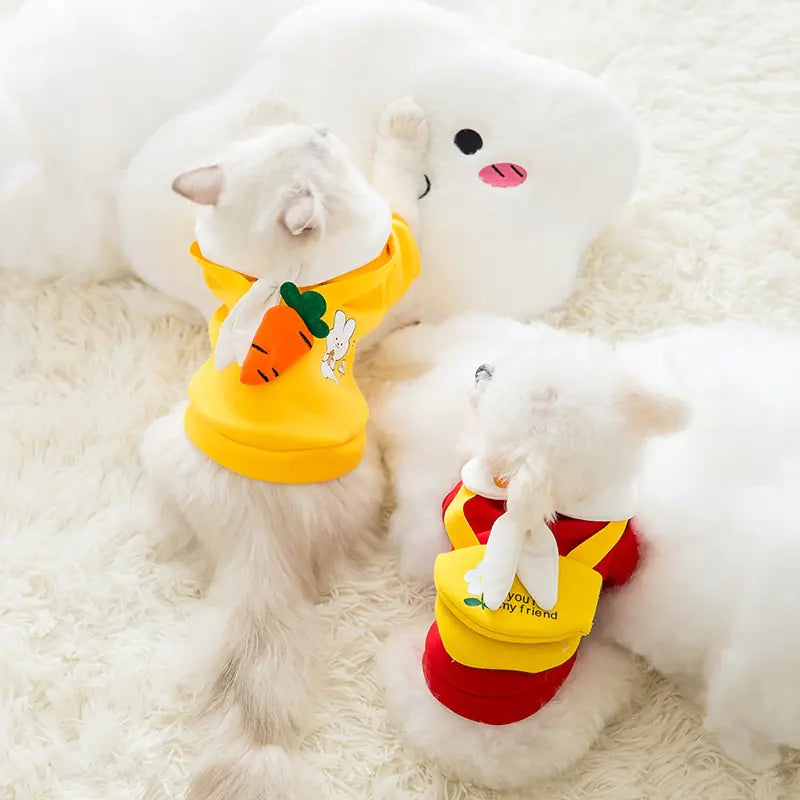 Cute Pet Clothing