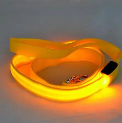 Safety Glow Dog Leash