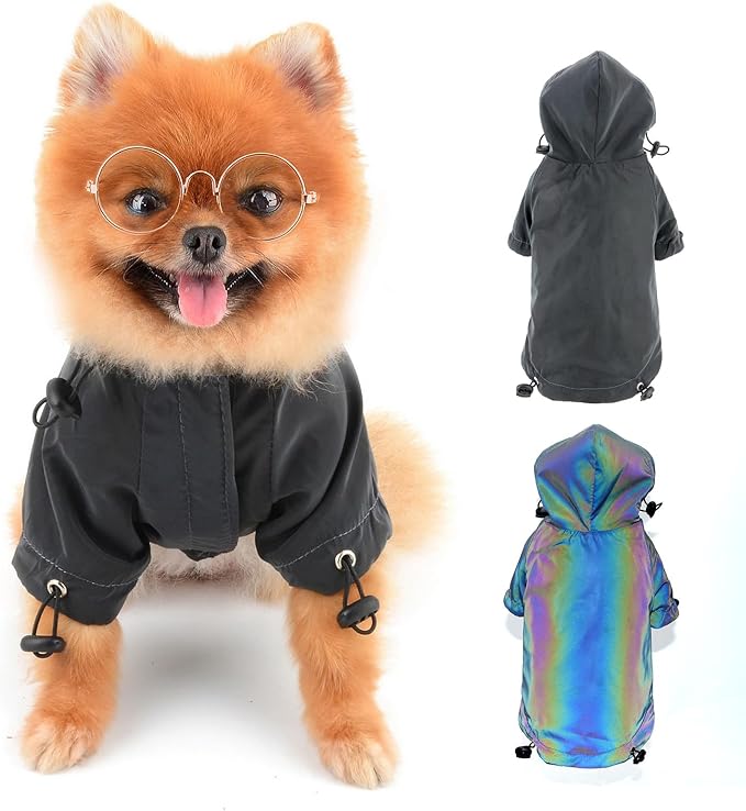 Flashing Dog Hoodie