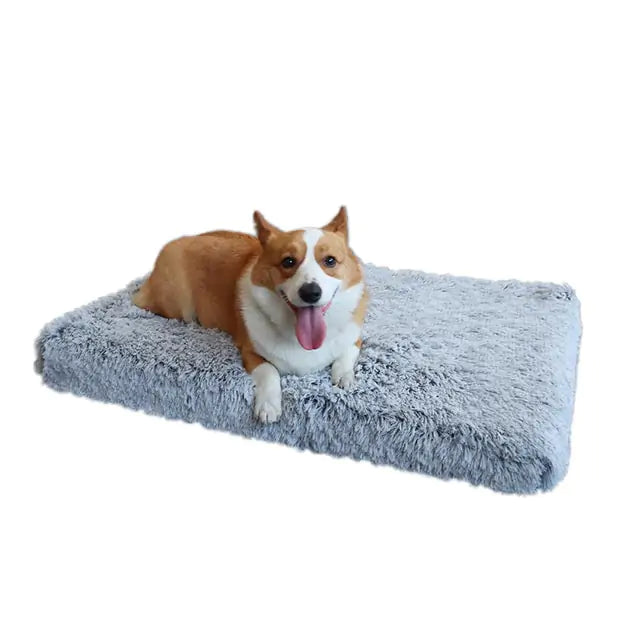 Cozy Plush Dog Bed