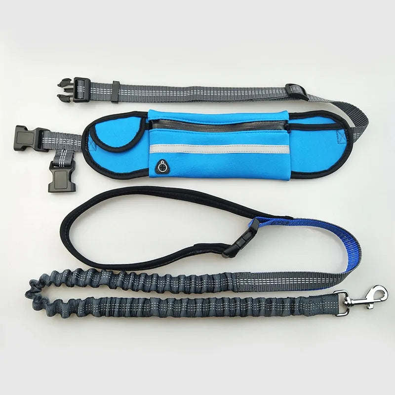 Ultimate Hands-Free Bungee Leash