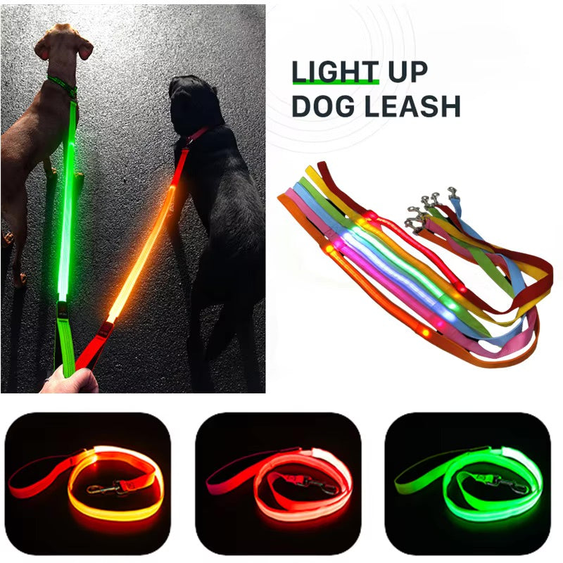 Safety Glow Dog Leash