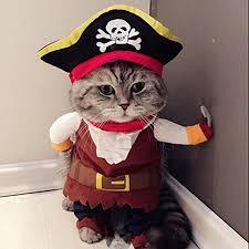 Pet Pirate Adventure Costume