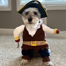 Pet Pirate Adventure Costume