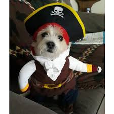 Pet Pirate Adventure Costume