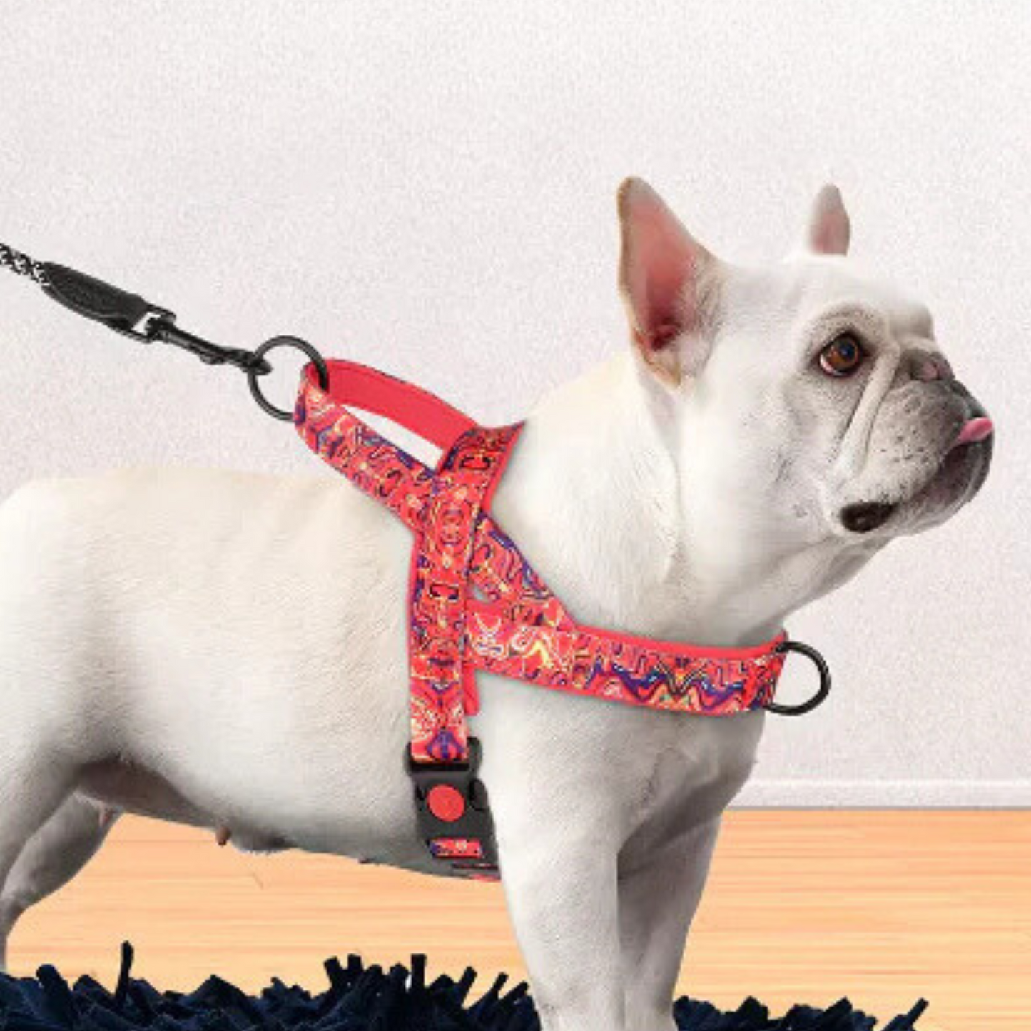 Vibrant Comfort Dog Harness