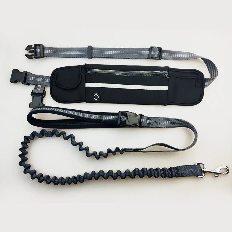 Ultimate Hands-Free Bungee Leash