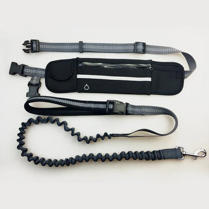 Ultimate Hands-Free Bungee Leash