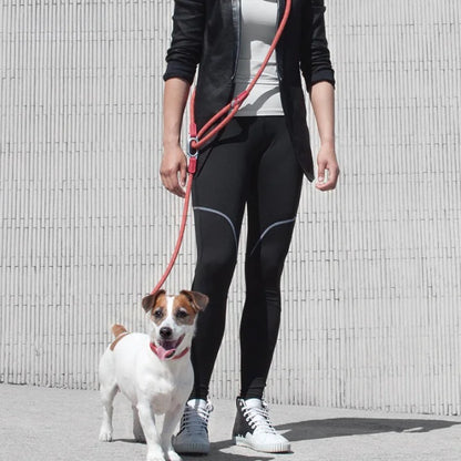 Reflective Safety Dog Leash