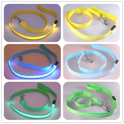 Safety Glow Dog Leash