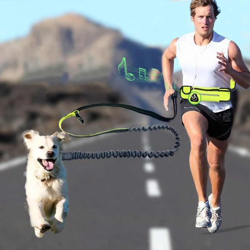 Ultimate Hands-Free Bungee Leash