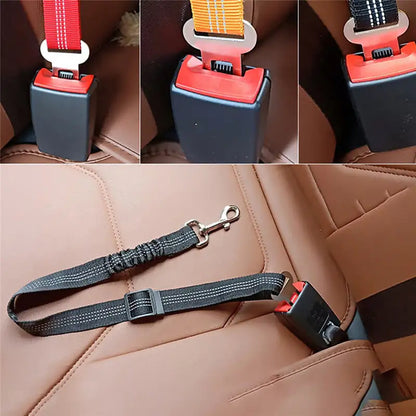 Safety Belt Reflective Pet Leash