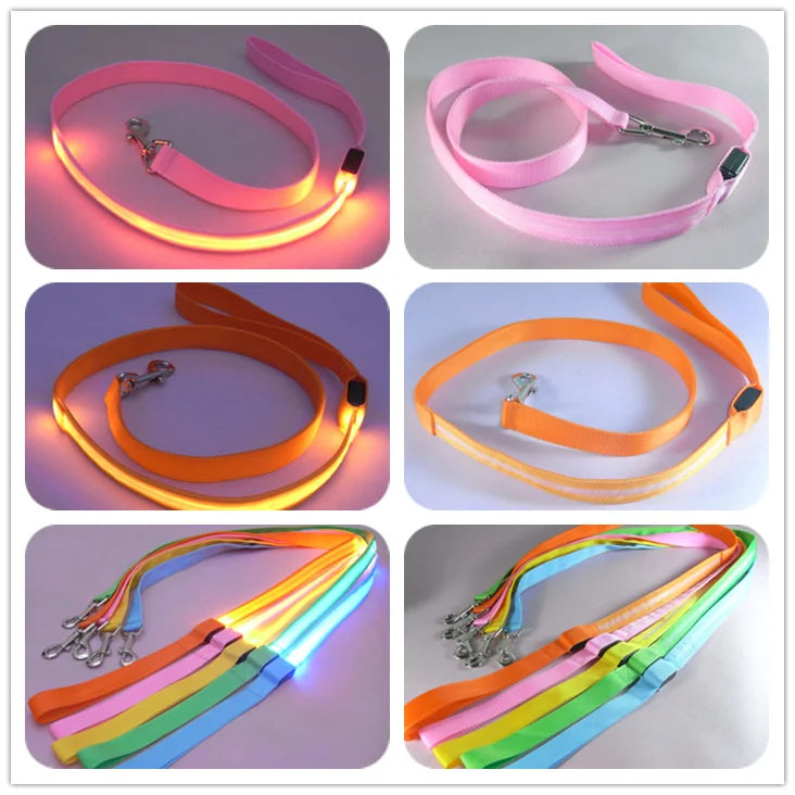 Safety Glow Dog Leash