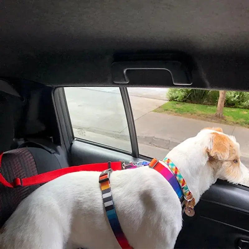 Pet Seat Belt Harness