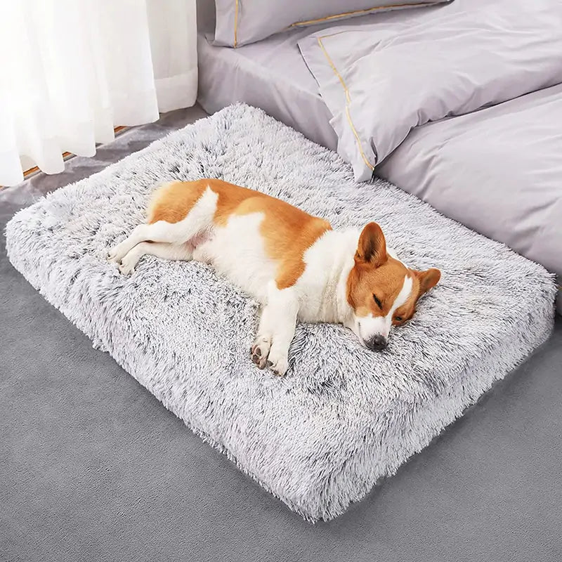 Cozy Plush Dog Bed