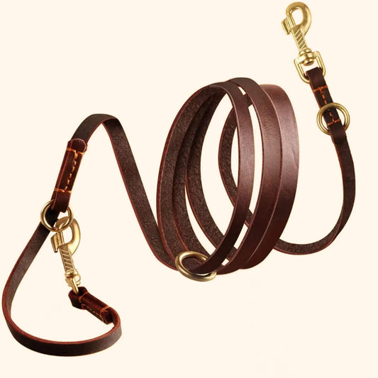 Hands-Free Crossbody Double Dog Leash