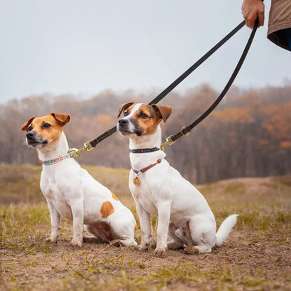 Hands-Free Crossbody Double Dog Leash