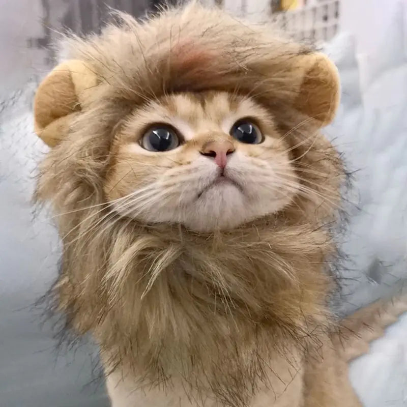 Majestic Lion Mane for Cats