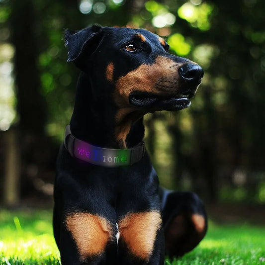 Smart LED Pet Collar