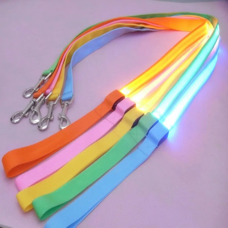 Safety Glow Dog Leash