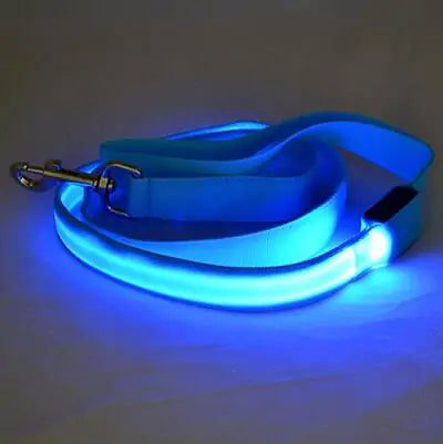 Safety Glow Dog Leash