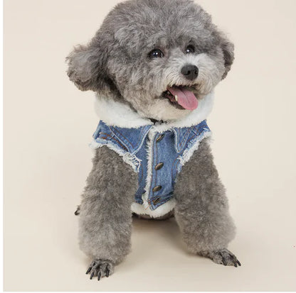 Cozy Denim Dog Jacket