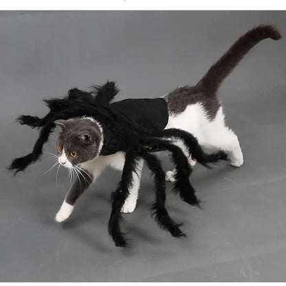 Spooky Spider Pet Costume