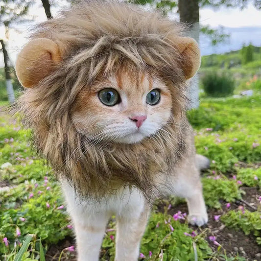 Majestic Lion Mane for Cats