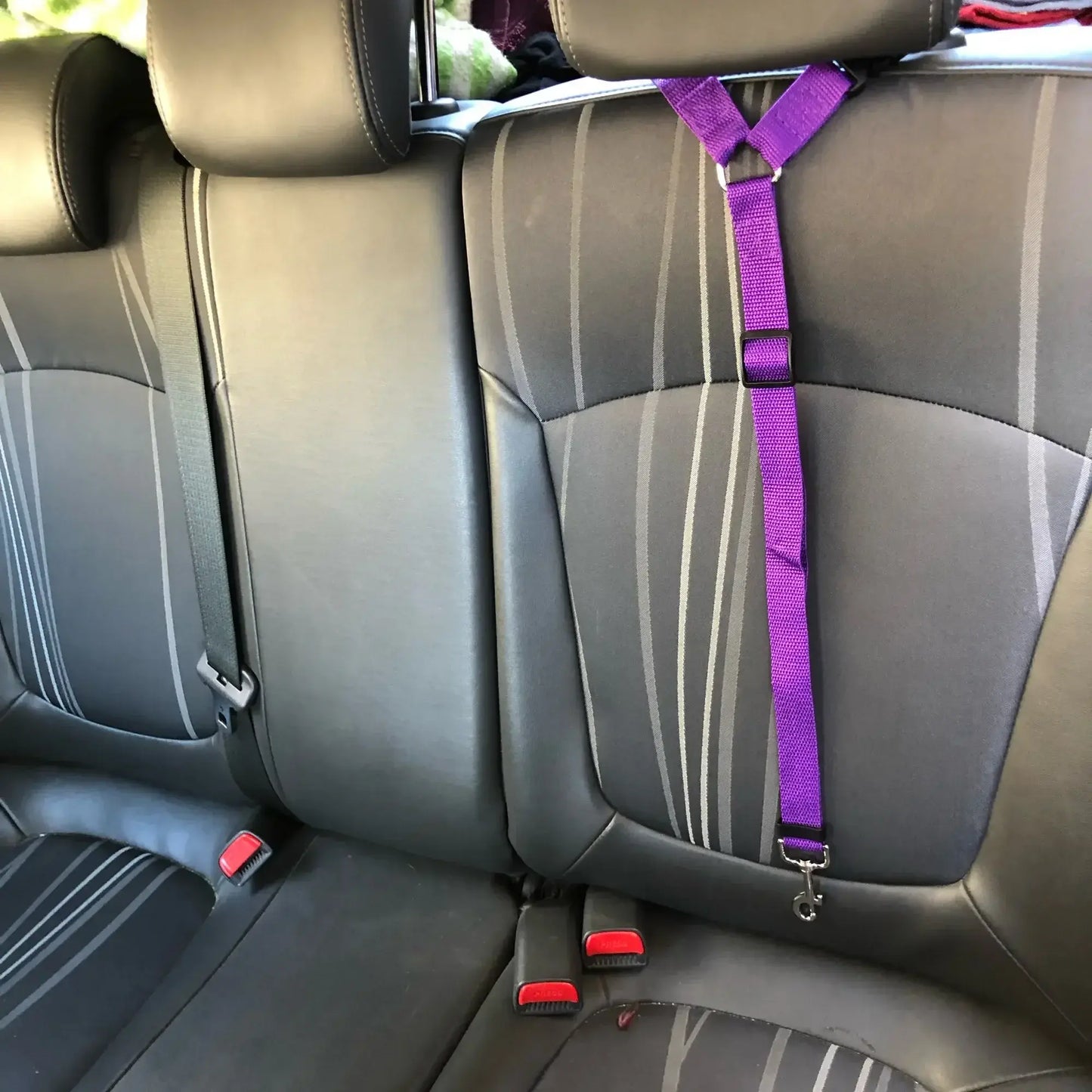 Pet Seat Belt Harness