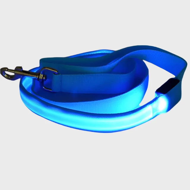 BrightPath LED Pet Leash