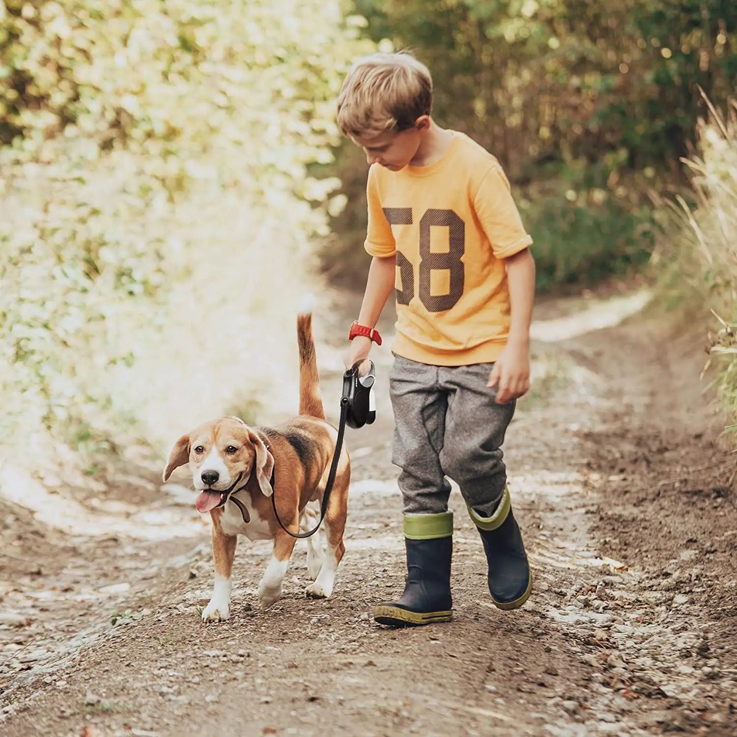 PawPal Retractable Leash Kit