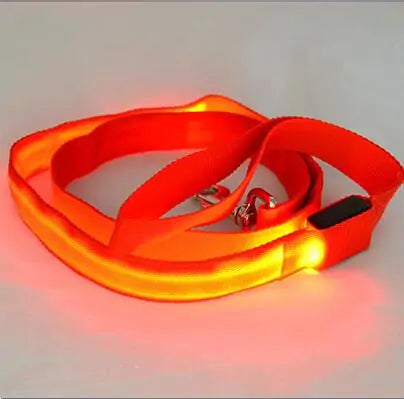 Safety Glow Dog Leash