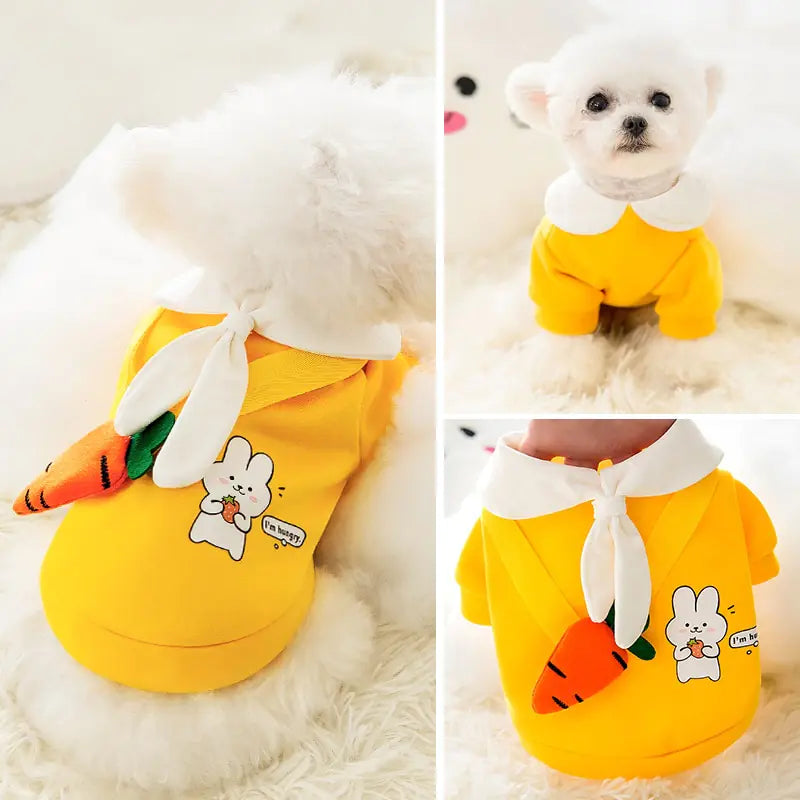 Cute Pet Clothing