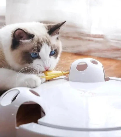 Purrfect Automatic Fun Toy