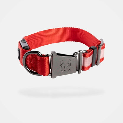 Red LED Safety Dog Collar