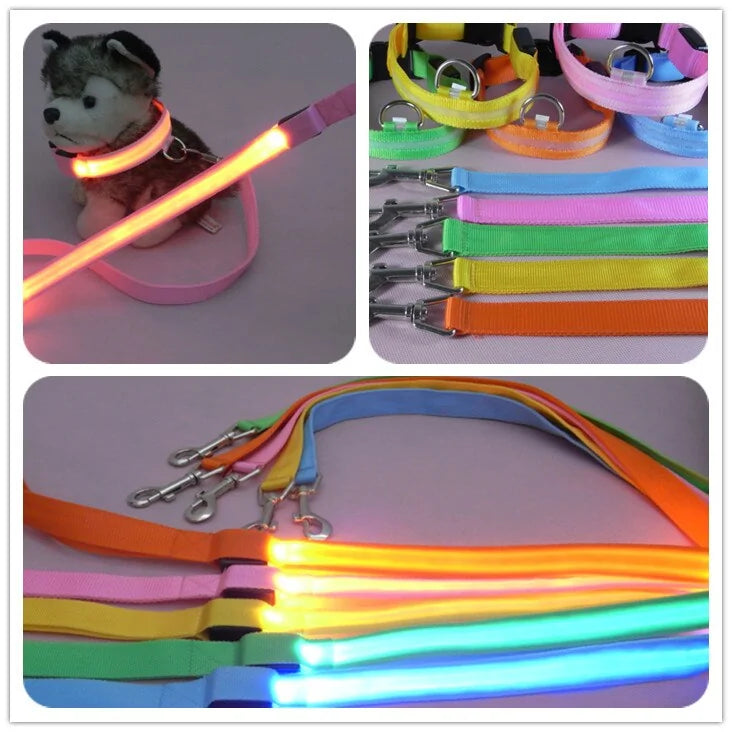 Safety Glow Dog Leash