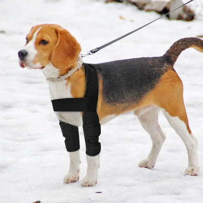 ComfortPaws Leg Support Brace