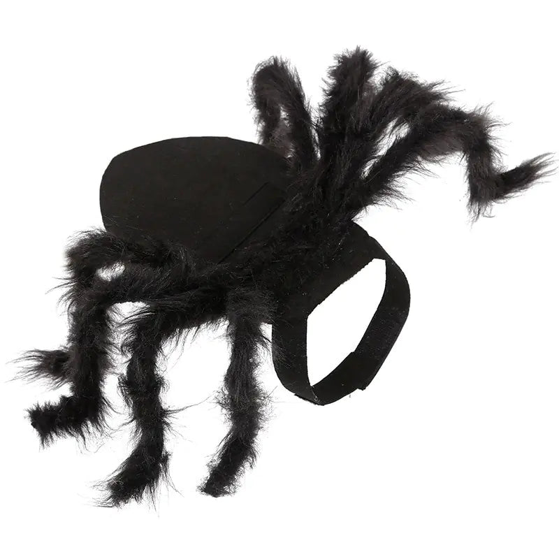 Spooky Spider Pet Costume