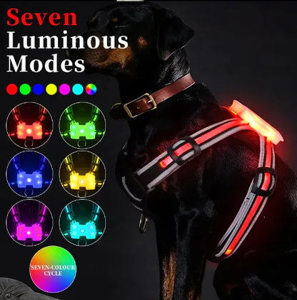 Luminous Dog Harness