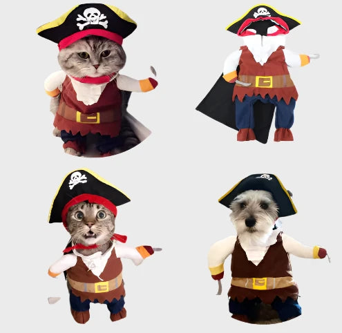 Pet Pirate Adventure Costume