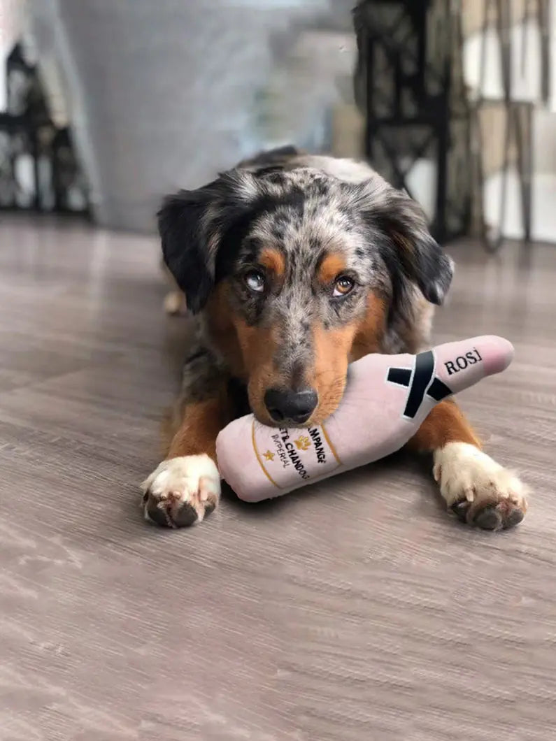 Drinkables Dog Chew Toy