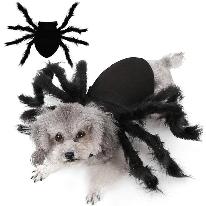 Spooky Spider Pet Costume