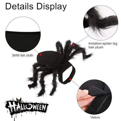 Spooky Spider Pet Costume