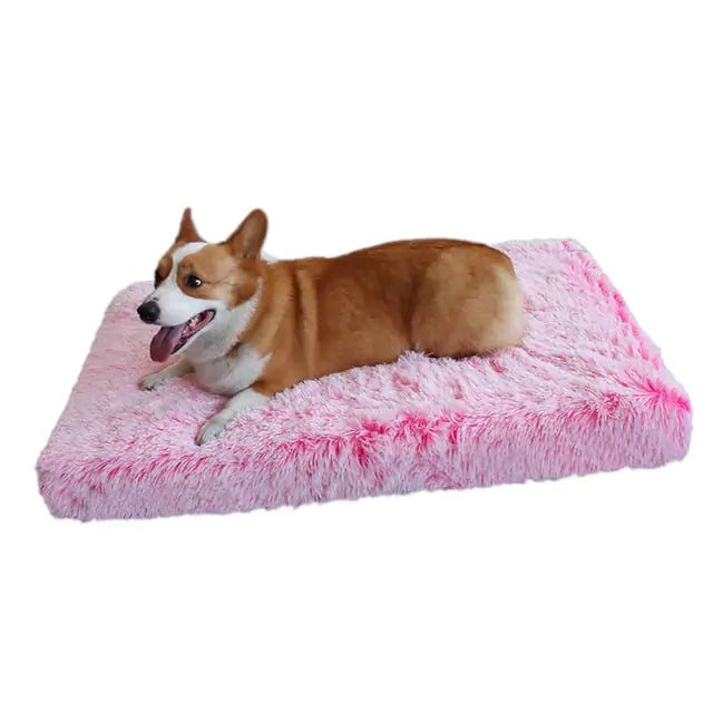 Cozy Plush Dog Bed