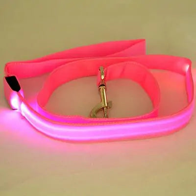 Safety Glow Dog Leash