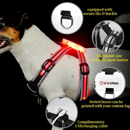 Luminous Dog Harness