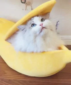 Funny Banana Cat Bed