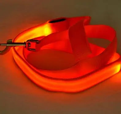 Safety Glow Dog Leash