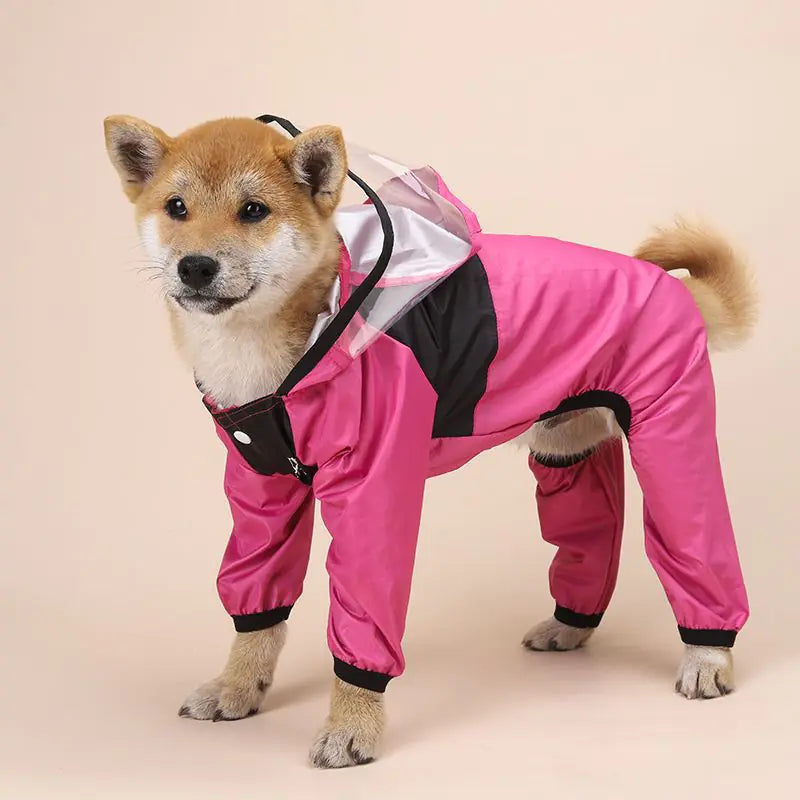 Clear Paws Raincoat