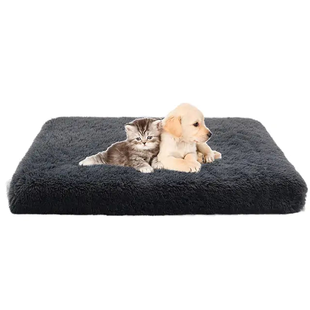 Cozy Plush Dog Bed